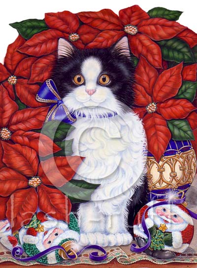 Cat and Pointsettias