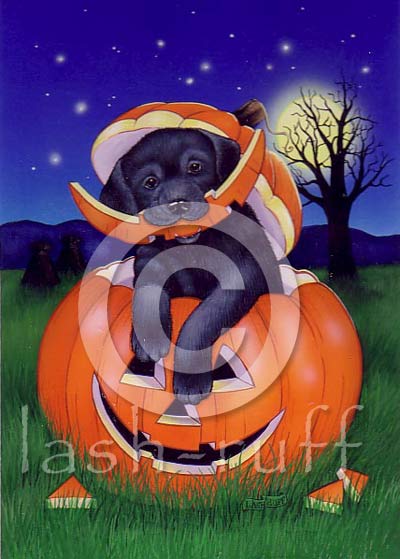 Lab in Jack-O-Lantern